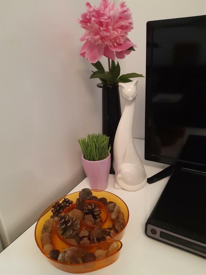 Relax Apartament 康斯坦察 外观 照片